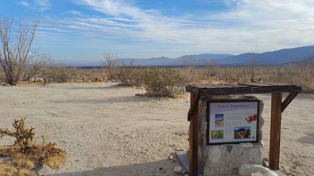 Desert Gardens - Anza-Borrego Desert State Park | Borrego Springs, CA 92004, USA | Phone: (760) 767-4205