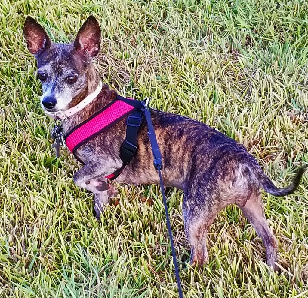 Gateway Manufactured Housing Community | 1545 N Lexington Blvd, Corpus Christi, TX 78409, USA | Phone: (361) 289-1191