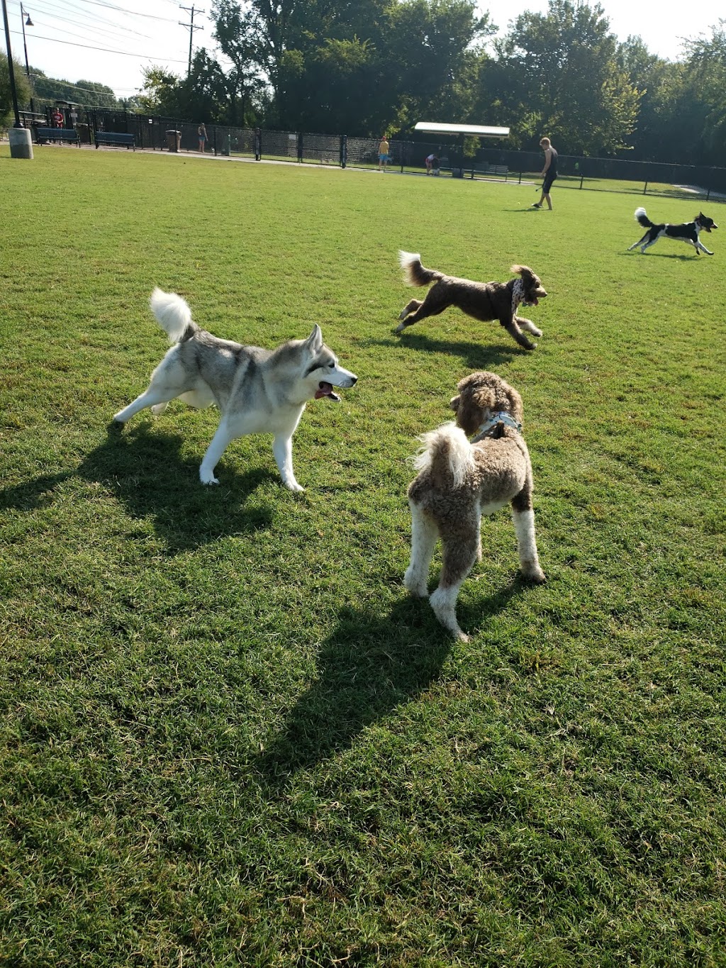 Jack Carter Dog Park | 2215 Pleasant Valley Dr, Plano, TX 75023, USA | Phone: (972) 210-2936