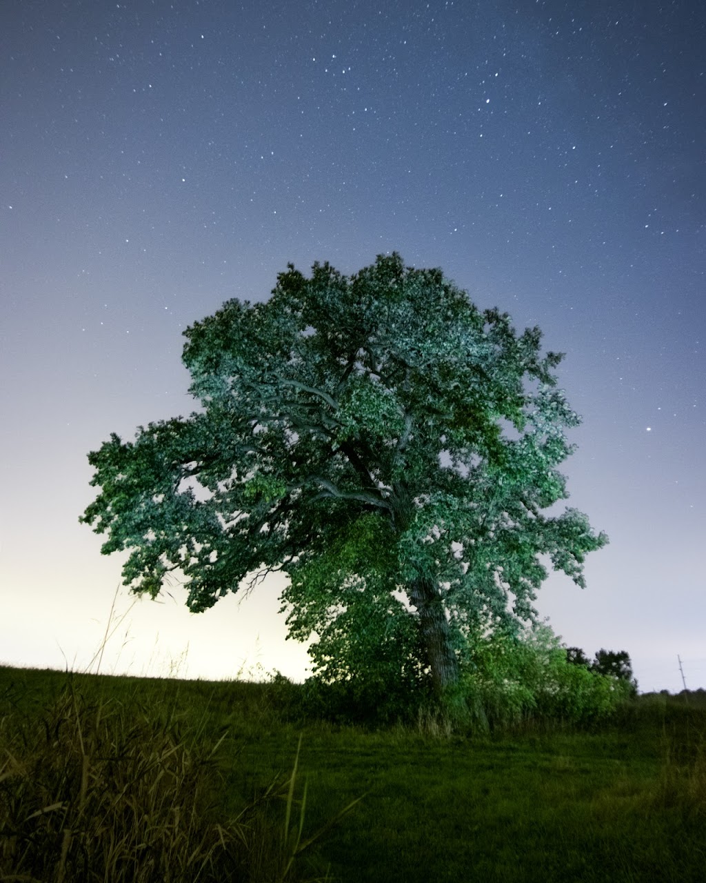 Sugar River Wildlife Area Basco Unit | 1065 WI-69, Belleville, WI 53508, USA | Phone: (608) 224-3730