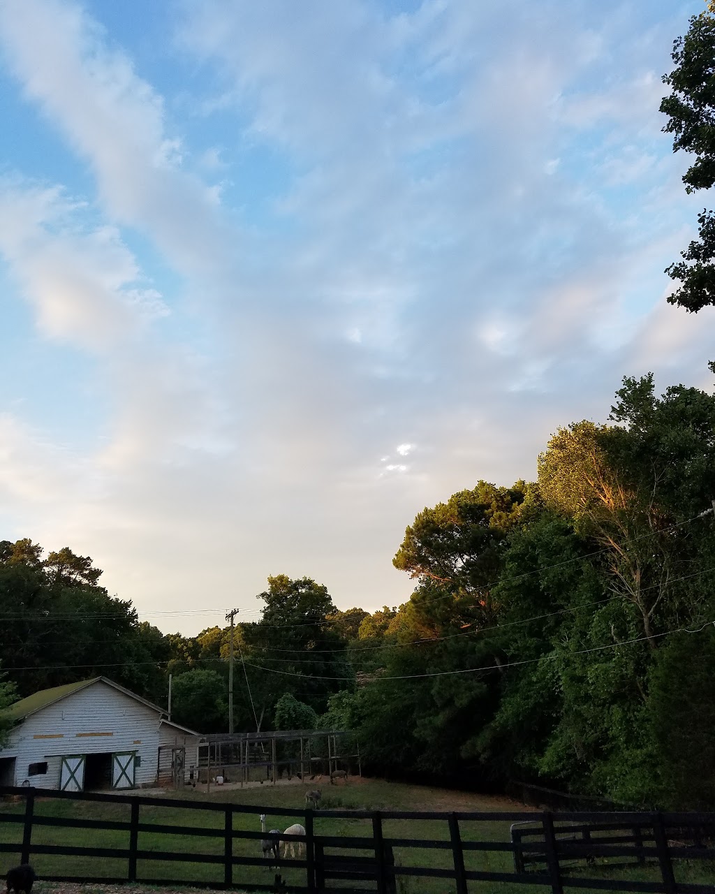 Dogphorias Pampered Pets | 4225 Union Hill Rd, Canton, GA 30115, USA | Phone: (770) 248-0321