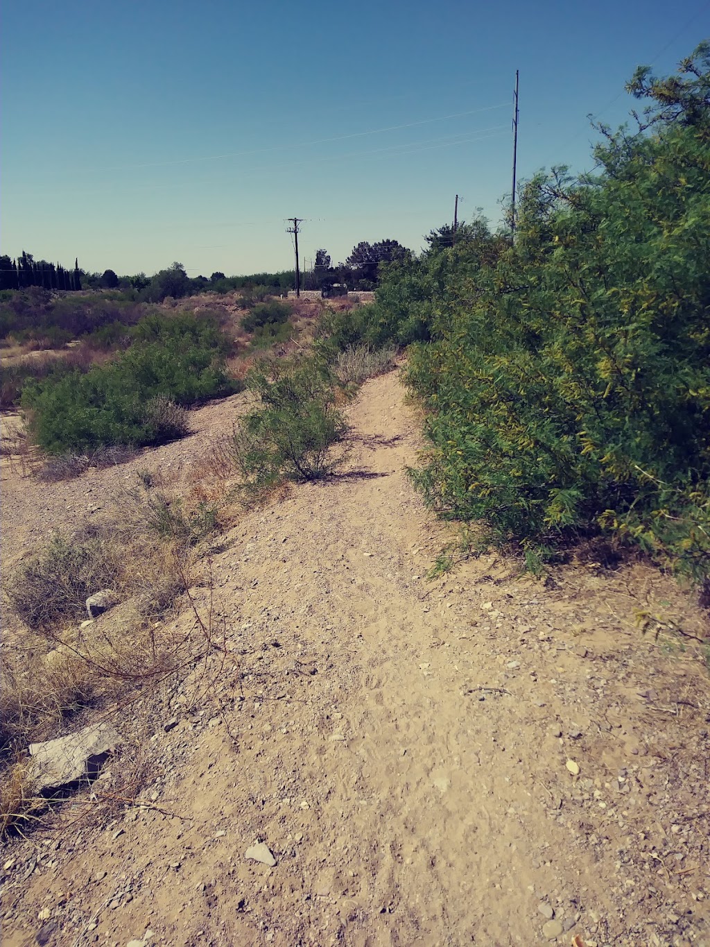 Salopek/Stull Park | 464 Salopek Blvd, Las Cruces, NM 88001, USA | Phone: (575) 541-2550