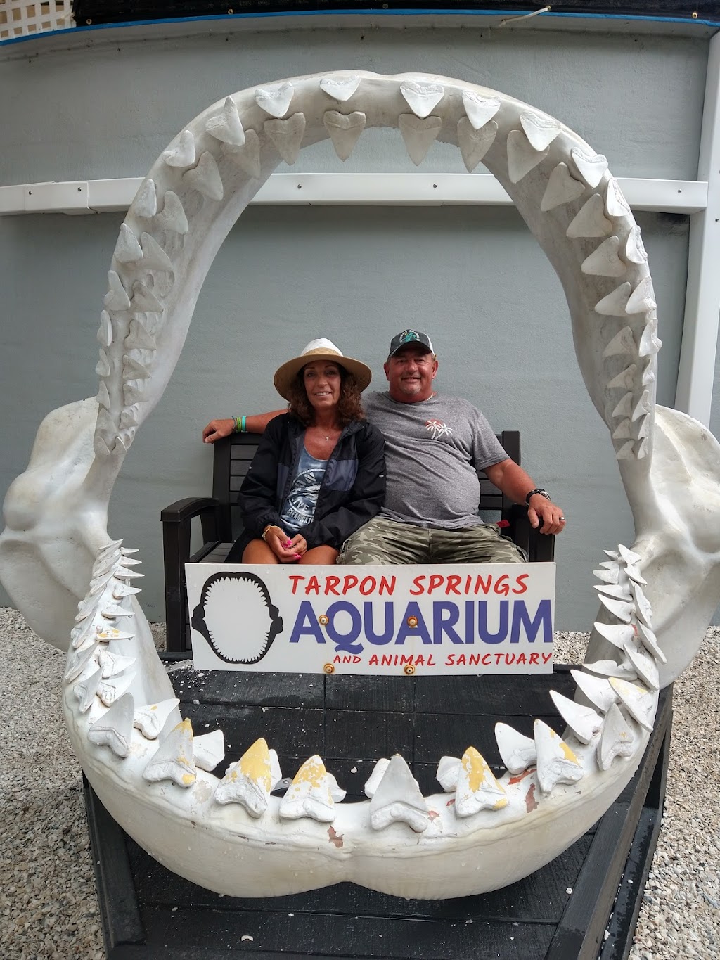 Tarpon Springs Aquarium and Animal Sanctuary | 1722 N Pinellas Ave, Tarpon Springs, FL 34689 | Phone: (727) 938-5378