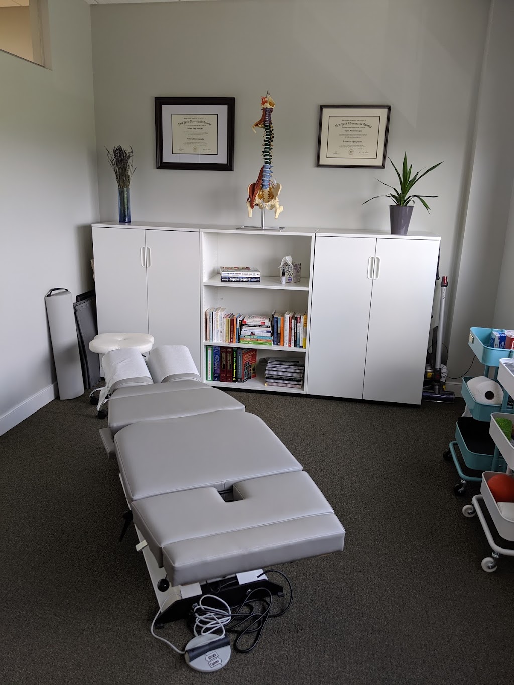 Ashburn Natural Wellness | 20915 Ashburn Rd Suite 235, Ashburn, VA 20147, USA | Phone: (703) 544-9355