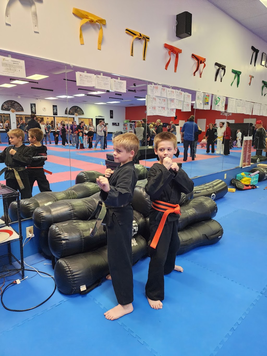 Championship Martial Arts - Columbia | 8515 Hanover Industrial Dr, Columbia, IL 62236, USA | Phone: (618) 939-1774