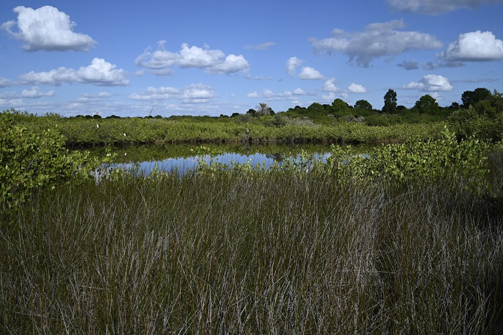 Wolf Branch Creek Nature Preserve | 481 Villemaire Rd, Apollo Beach, FL 33572 | Phone: (813) 671-7754