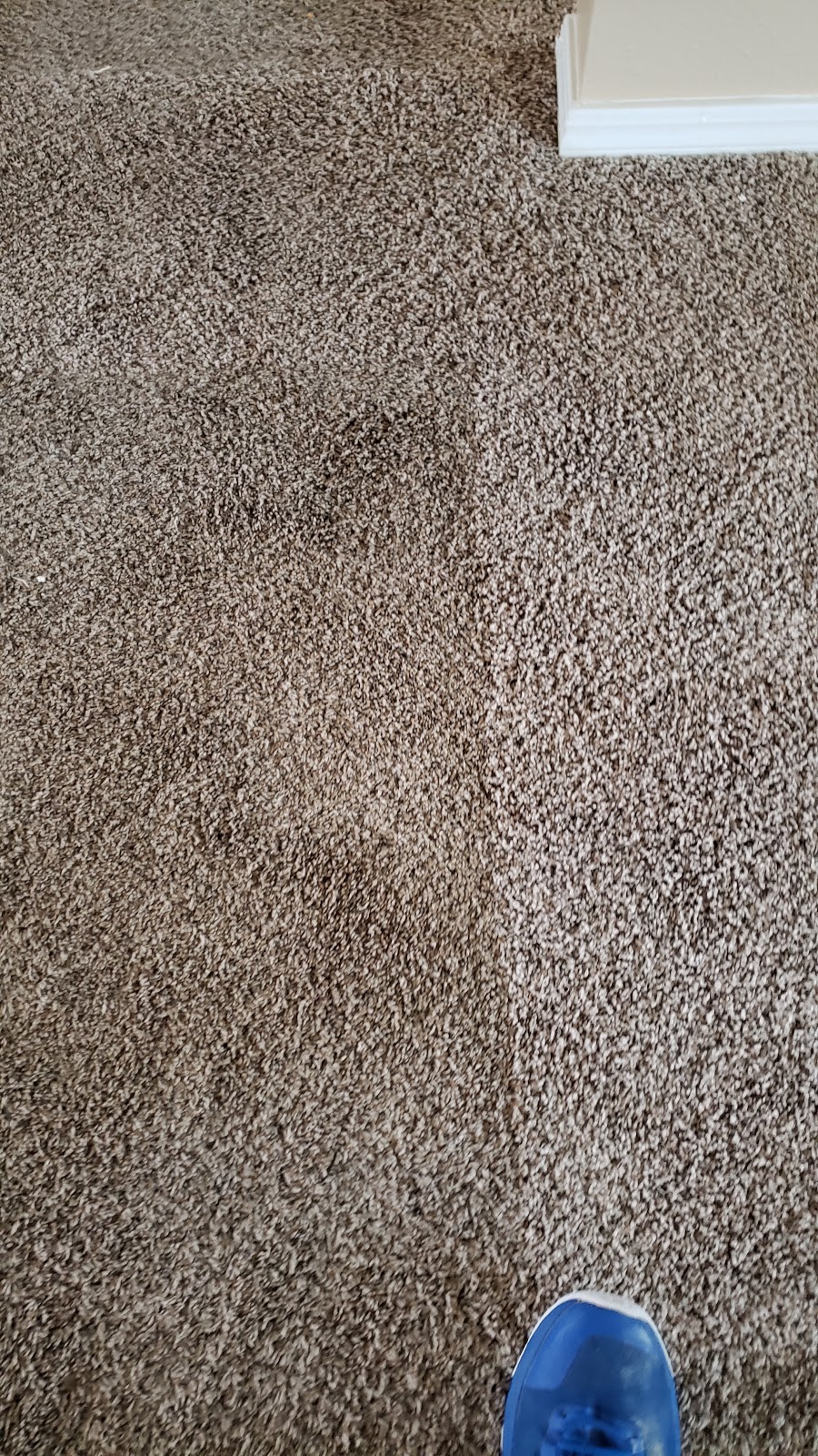 Dynamic Carpet Care | 21701 East 71st St S, Broken Arrow, OK 74014, USA | Phone: (918) 279-1847