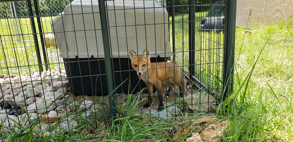 Second Chances Wildlife Center | 487 Gentry Ln, Mt Washington, KY 40047, USA | Phone: (502) 888-5470