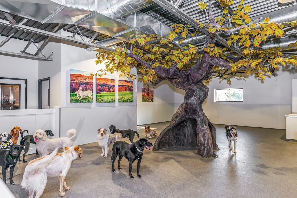 The Spot Costa Mesa | 1651 Placentia Ave, Costa Mesa, CA 92627, USA | Phone: (949) 891-4604