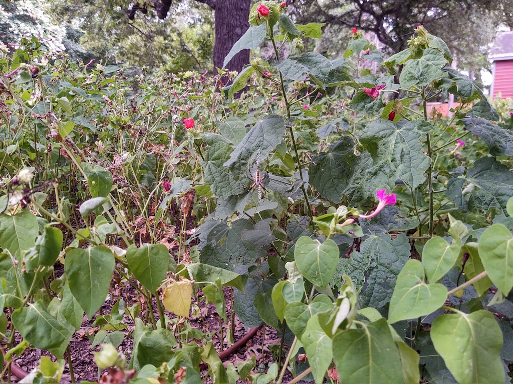 Stone Park | 810 N Edgefield Ave, Dallas, TX 75208, USA | Phone: (214) 670-4100