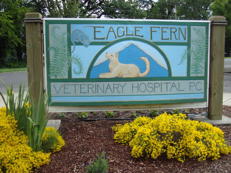 Eagle Fern Veterinary Hospital | 585 NW Zobrist St, Estacada, OR 97023, USA | Phone: (503) 630-3538