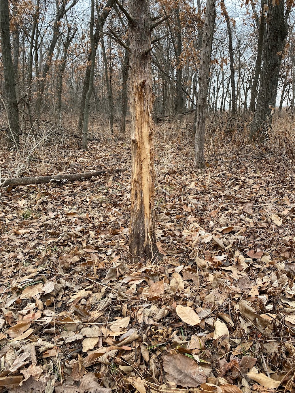 Jordan Bauer - Coulee Land Company | E7051 90th Ave, Mondovi, WI 54755, USA | Phone: (715) 317-5858