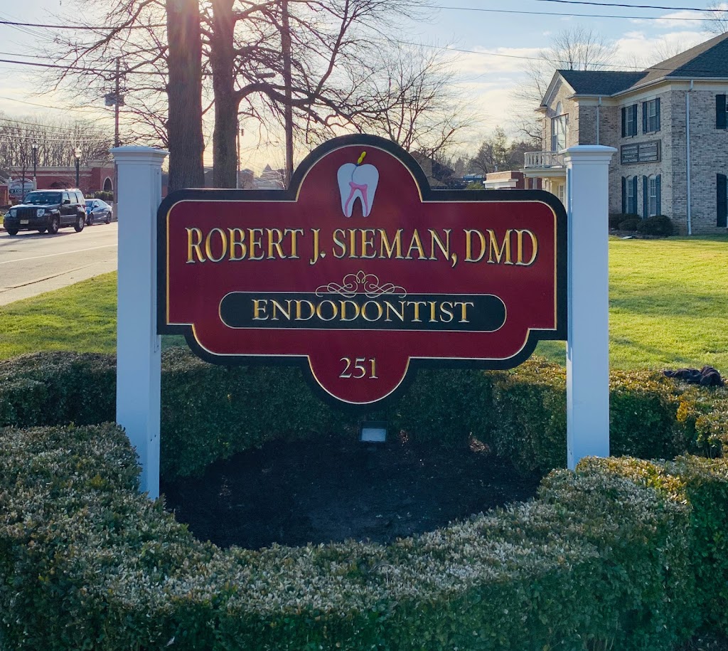 Robert J. Sieman, DMD | 251 Springfield Ave, Berkeley Heights, NJ 07922, USA | Phone: (908) 464-4000