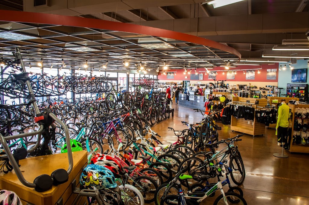 Cahaba Cycles | 2271 Pelham Pkwy, Pelham, AL 35124, USA | Phone: (205) 987-4043