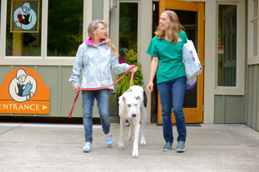 Companion Animal Wellness Center | 16404 Lemolo Shore Dr NE, Poulsbo, WA 98370, USA | Phone: (360) 779-6534 Companion Animal Wellness Center | 16404 Lemolo Shore Dr NE, Poulsbo, WA 98370, USA | Phone: (360) 779-6534
