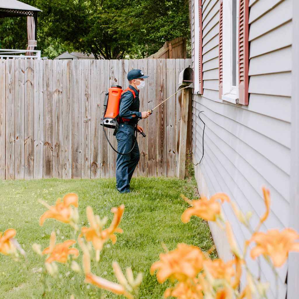 Fox Pest Control | 43 Nagog Park # 200, Acton, MA 01720, USA | Phone: (508) 452-2944