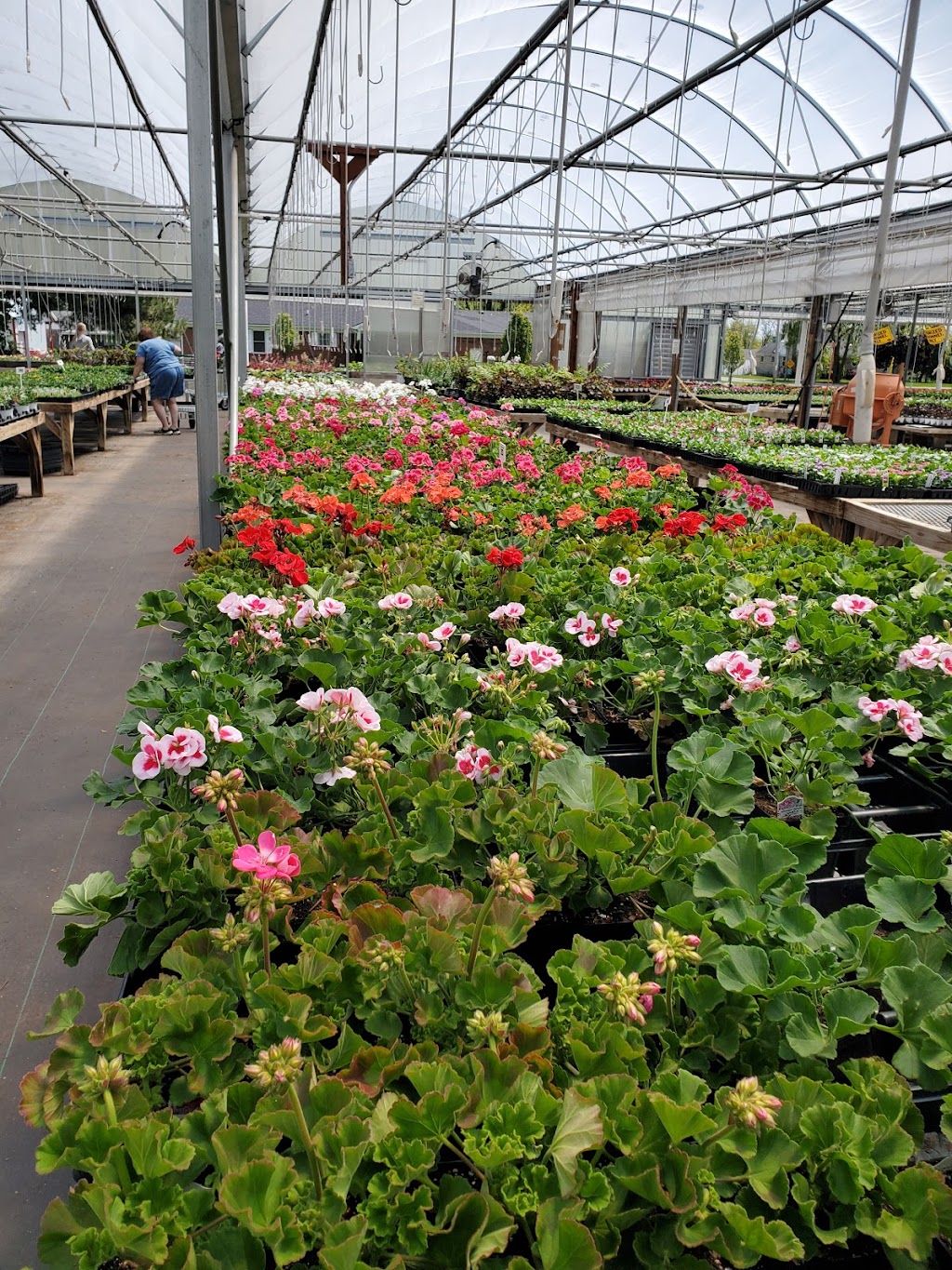 Crystal Creek Gardens Inc | 604 E St Clair St, Eaton, OH 45320, USA | Phone: (937) 456-0153