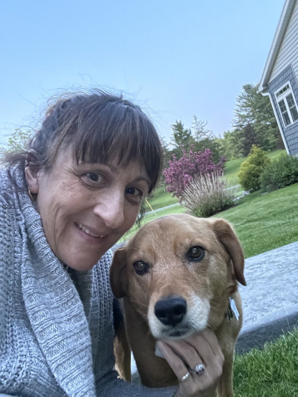 Altamont Country Kennels 220 Brandle Rd, Altamont, NY 12009