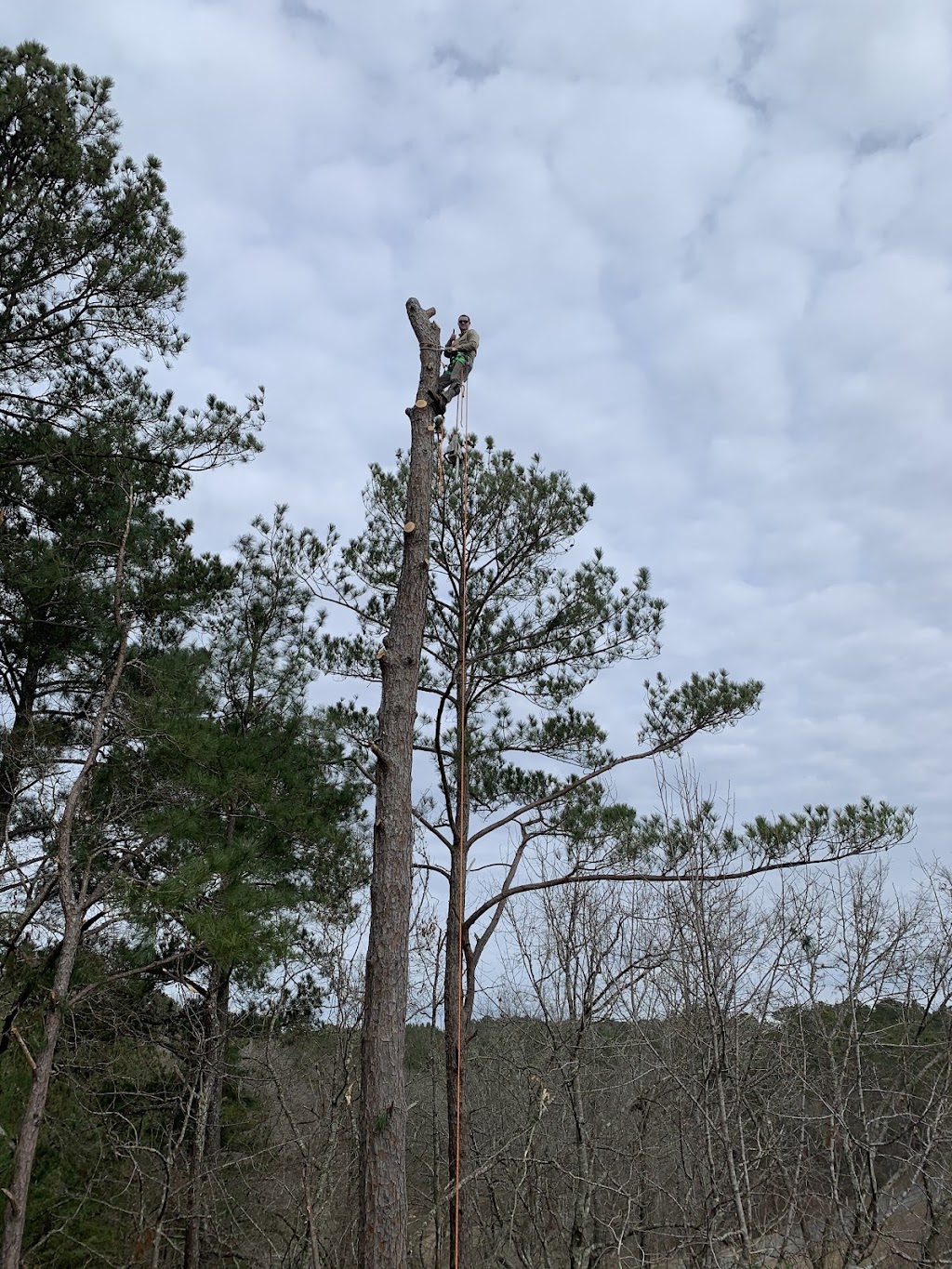 Caldwell Tree Service | 2560 Red Barn Rd, Alexander City, AL 35010 | Phone: (256) 226-5074