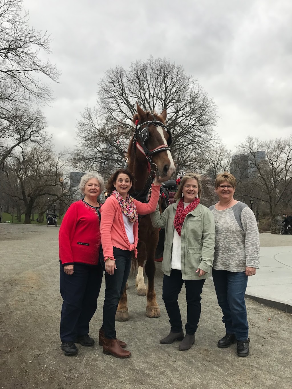 NYC Horse Carriage Rides™ EST.1979 | 7th Ave & West 59th Street, Central Park S, New York, NY 10019, USA | Phone: (516) 606-6212