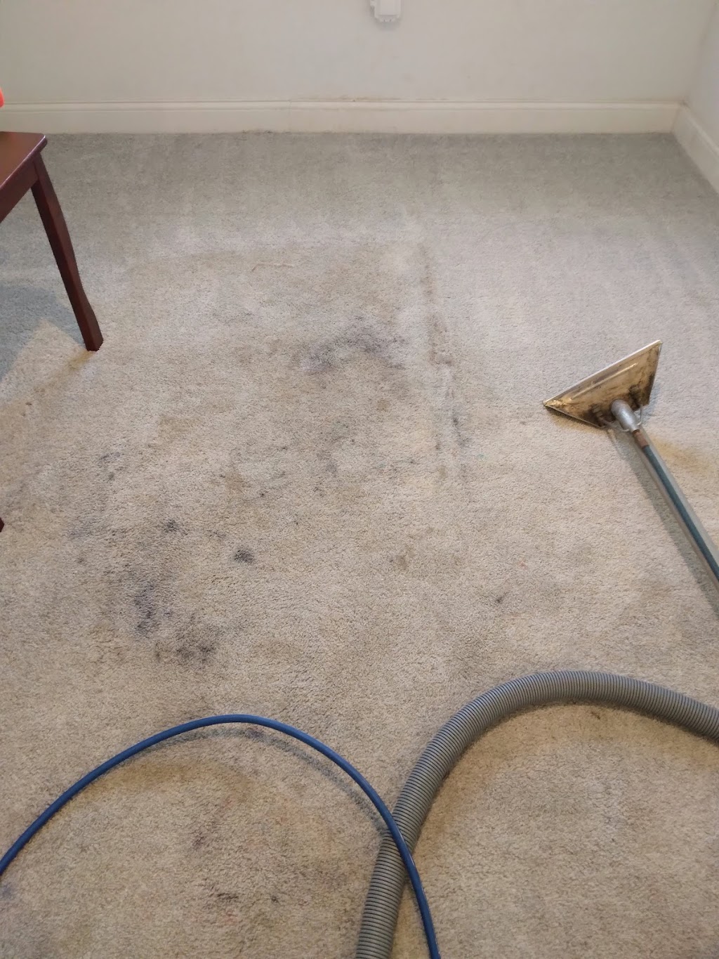 Absolute Carpet Care | 3017 Bob-O-Link Ln, Denton, TX 76209, USA | Phone: (940) 442-1212