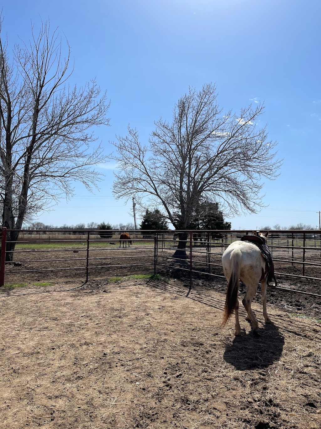 Healing Reins Ranch | 1025 W Skelly Rd, Haskell, OK 74436, USA | Phone: (918) 534-7097