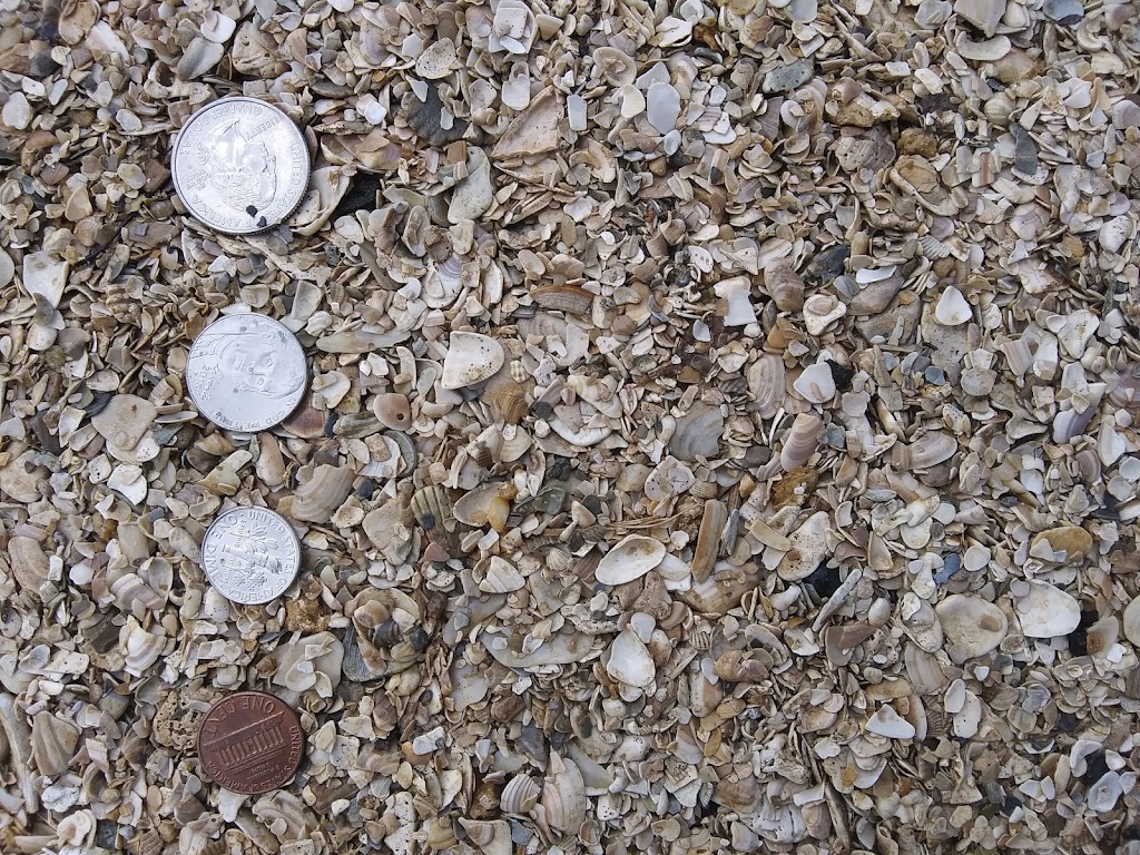 Seamont Ventures Coquina Supply | 550 S Holmes Blvd, St. Augustine, FL 32084, USA | Phone: (904) 824-5886