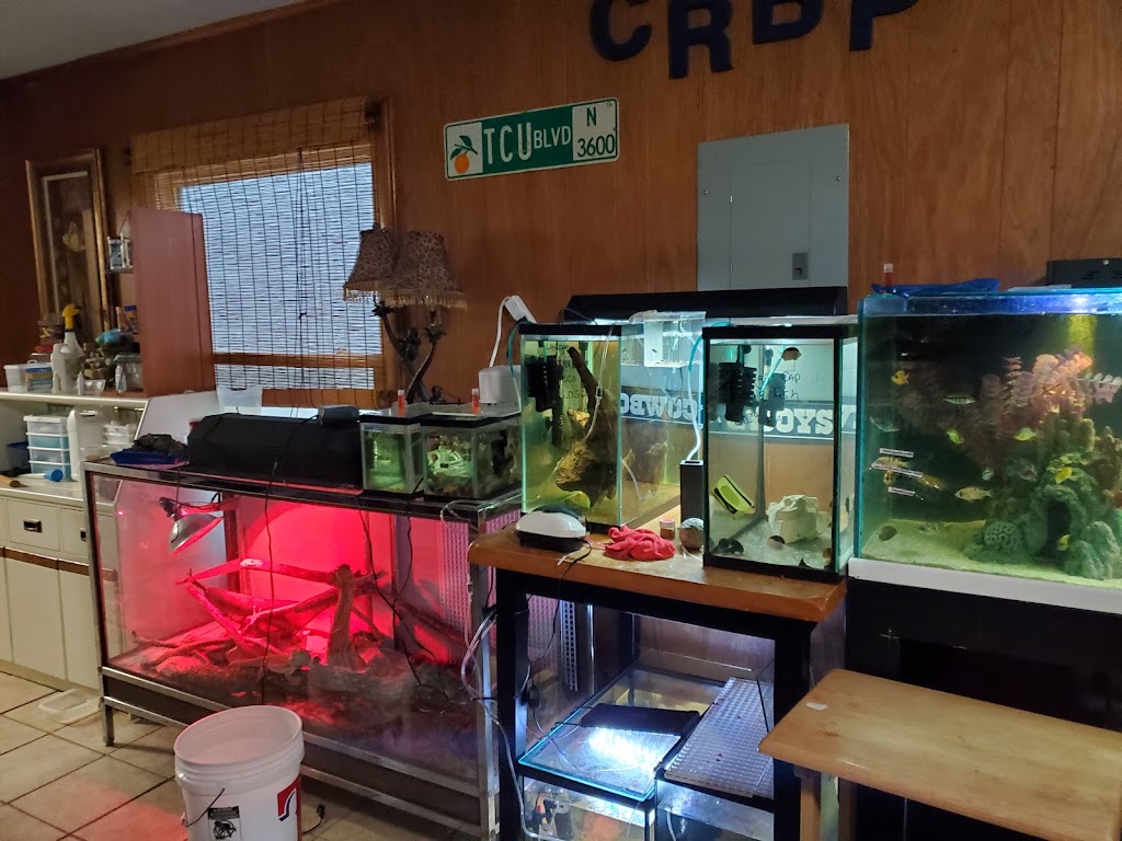 Champions Tropical Fish Room | 6716 Meadowbrook Dr, Fort Worth, TX 76112, USA | Phone: (817) 209-4996