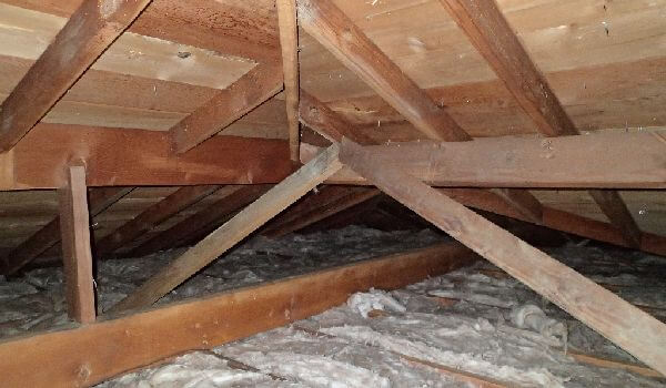 Albany Mold LLC | 133 Spring St 2nd fl, Albany, NY 12203, USA | Phone: (800) 727-0806