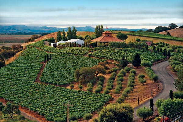 Viansa Winery | 25200 Arnold Dr, Sonoma, CA 95476, USA | Phone: (800) 995-4740