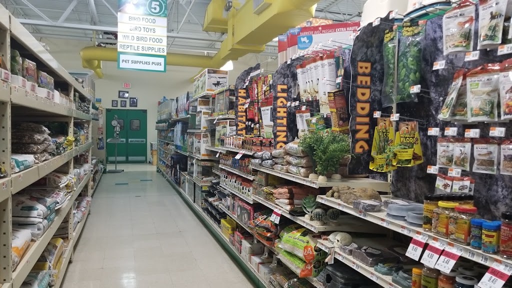 Pet Supplies Plus Washington Twp. | 64920 Van Dyke Ave, Washington, MI 48095, USA | Phone: (586) 752-2800