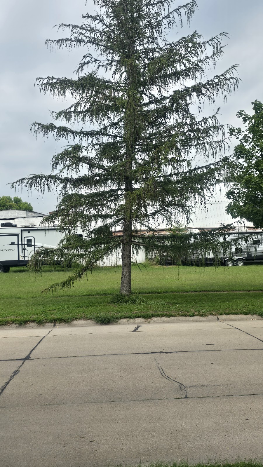 Columbus Bark Park | 5692-5794 Monastery Rd, Columbus, NE 68601, USA | Phone: (402) 562-4234