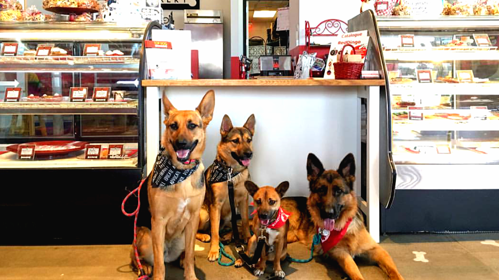 TOP DOG *Barkery, *Bath & *Boutique | 21010 Pacific Coast Hwy A-160, Huntington Beach, CA 92648, USA | Phone: (714) 960-3647