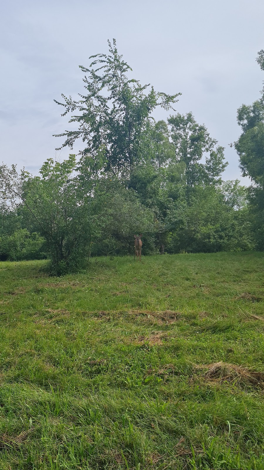 Material Girl Sewing School, Sewing Lessons and Camps | 2010 Paddock Way, Superior Township, MI 48198, USA | Phone: (734) 484-9647