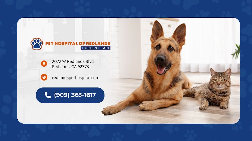 Pet Hospital of Redlands + Urgent Care | 2072 W Redlands Blvd, Redlands, CA 92373, USA | Phone: (909) 363-1617