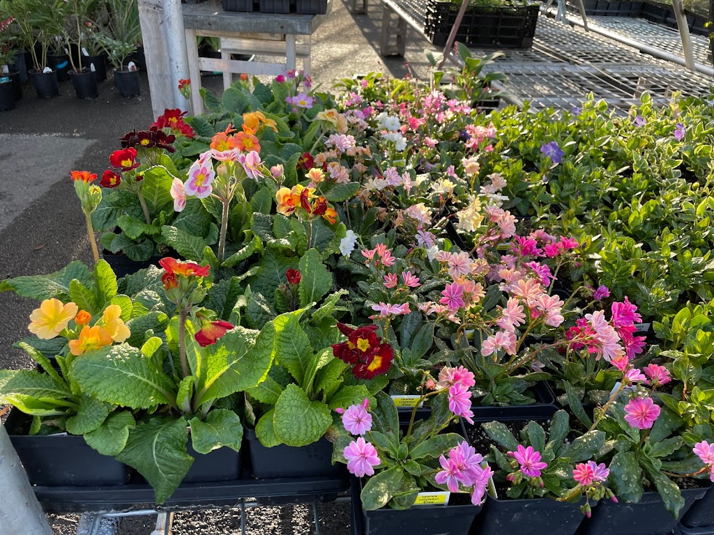 Giambrocco & Sons Boulder Nursery | Table Mesa Dr, Boulder, CO 80303 | Phone: (303) 421-7228