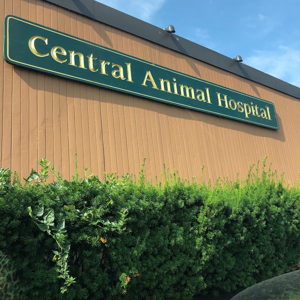 Central Animal Hospital | 317 Ardsley Rd, Scarsdale, NY 10583, USA | Phone: (914) 723-1250