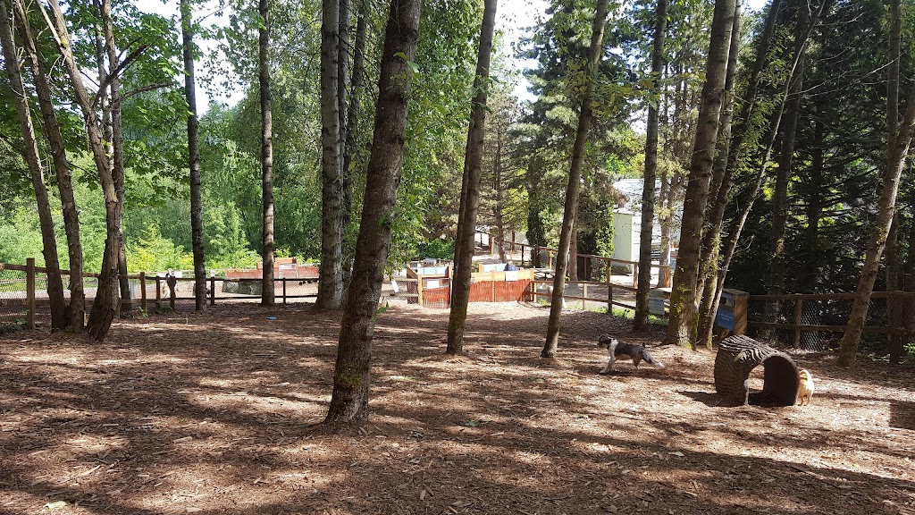 Jaspers Dog Park | 11225 NE 120th St, Kirkland, WA 98034, USA | Phone: (425) 587-3300