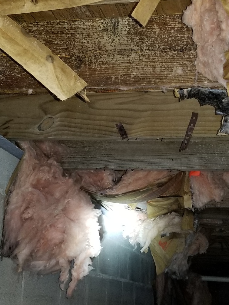 Grimes Solutions | 875 Lakeview Dr, DeLand, FL 32720, USA | Phone: (386) 561-3499