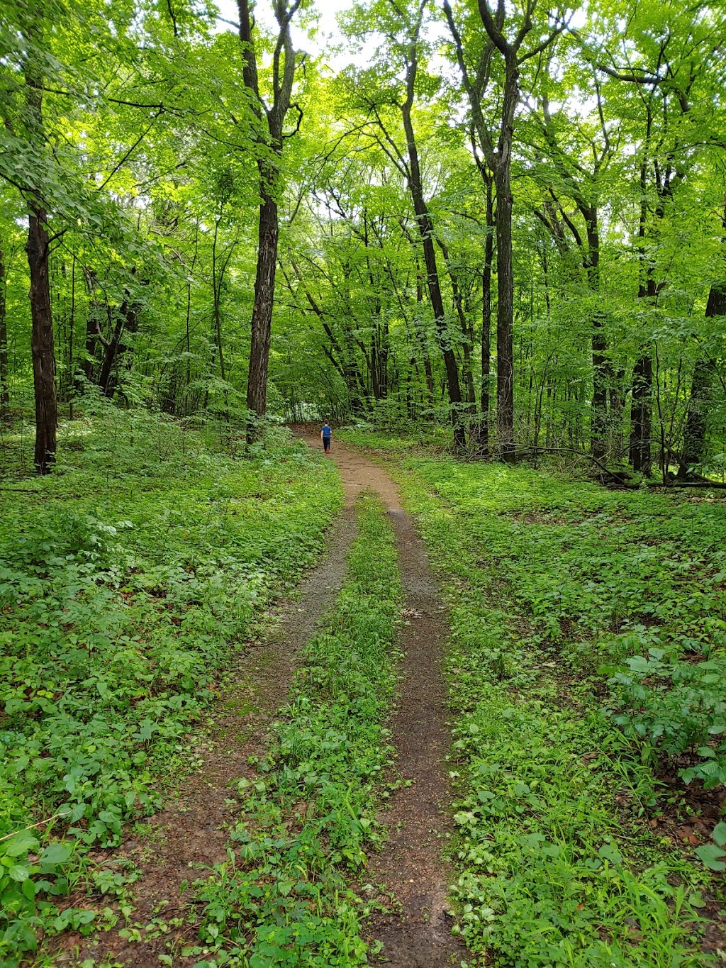 Wolsfeld Woods Scientific and Natural Area (SNA) | 2060 County Rd 6, Long Lake, MN 55356, USA | Phone: (651) 259-5800