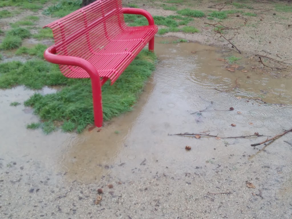 Miyuki Dog Park | San Jose, CA 95119, USA | Phone: (408) 535-3570