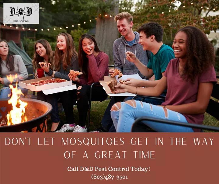 D&D Pest Control | 5055 Country Oaks Dr, Rock Hill, SC 29732, USA | Phone: (803) 487-3501