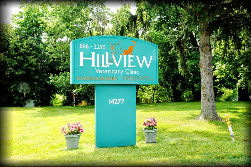 Hillview Veterinary Clinic / Bed & Biscuit | 14277 National Rd SW, Reynoldsburg, OH 43068, USA | Phone: (614) 866-2290