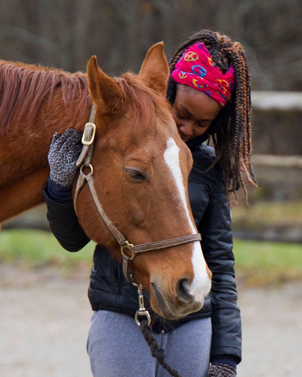 In Step With Horses | 9495 Stafford Rd, Chagrin Falls, OH 44023, USA | Phone: (440) 381-9555