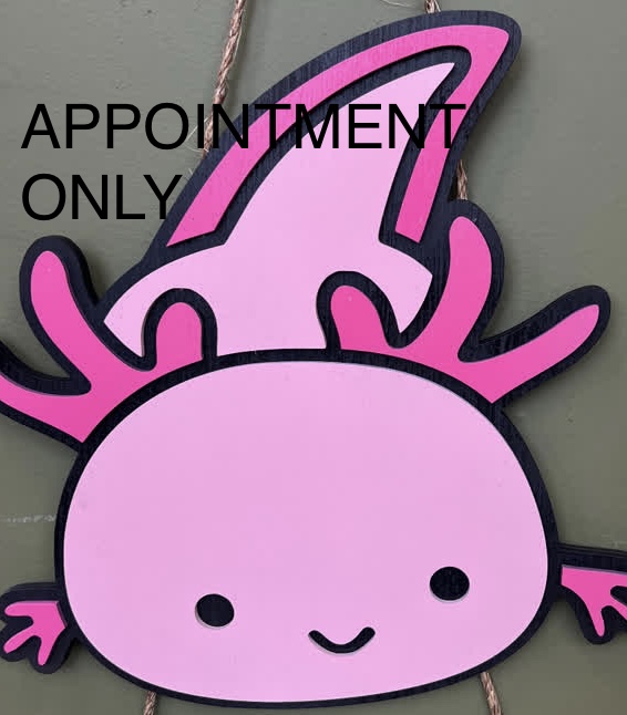 Happy axolotls | 478 Moore Ave, New Castle, PA 16101, USA | Phone: (516) 695-9415