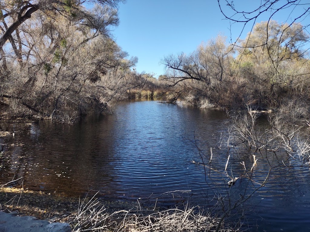 Hassayampa River Preserve | 49614 U.S. Hwy 60 89, Wickenburg, AZ 85390, USA | Phone: (928) 684-2772