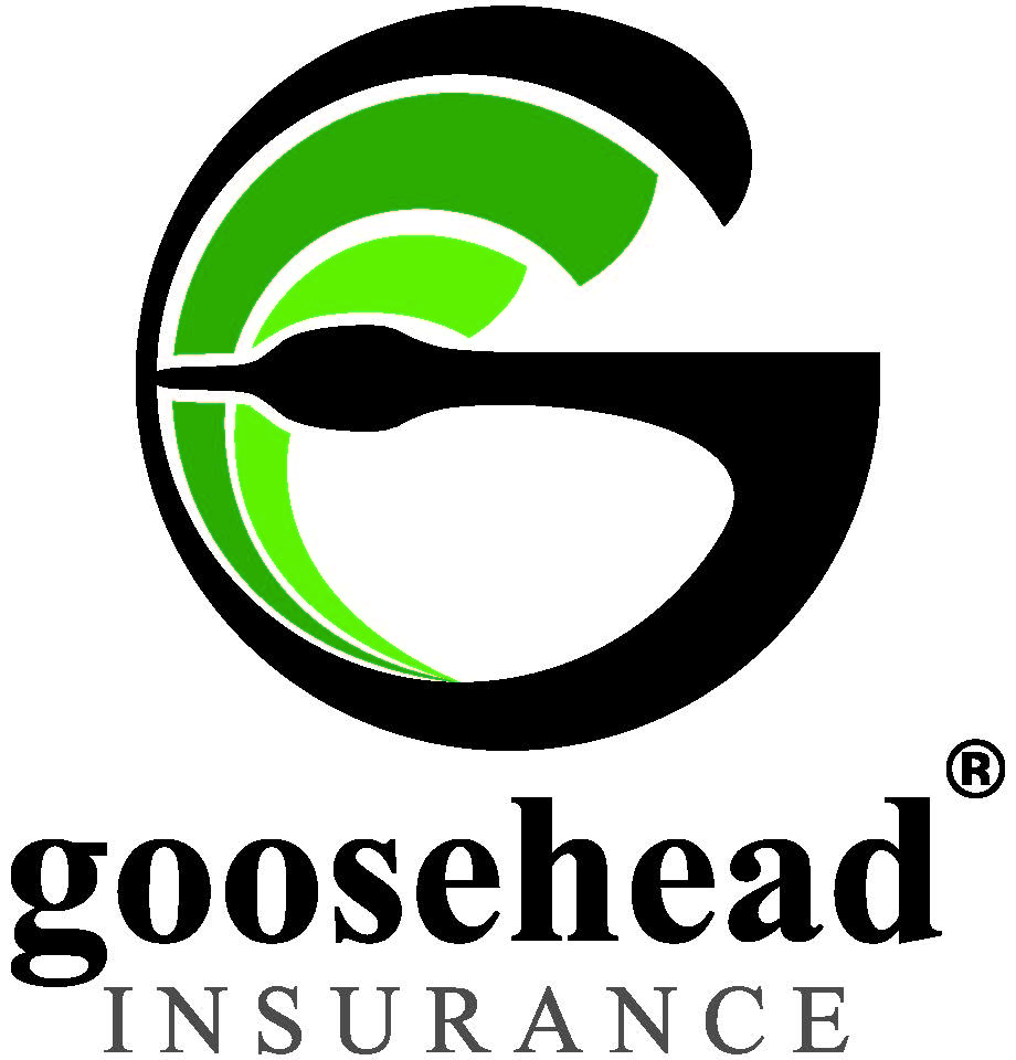 Goosehead Insurance - Adam Morris Agency | 3745 Douglas Ave, Racine, WI 53402, USA | Phone: (262) 770-1030