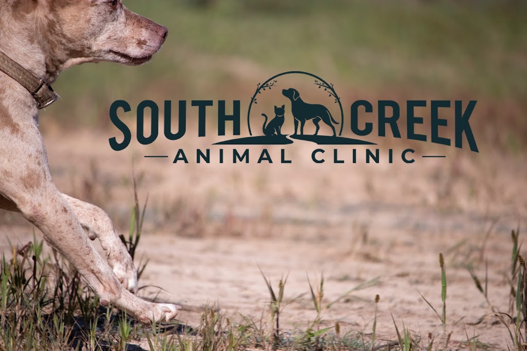 South Creek Animal Clinic | 24527 Gosling Rd suite d-160, Spring, TX 77389, USA | Phone: (281) 206-4150