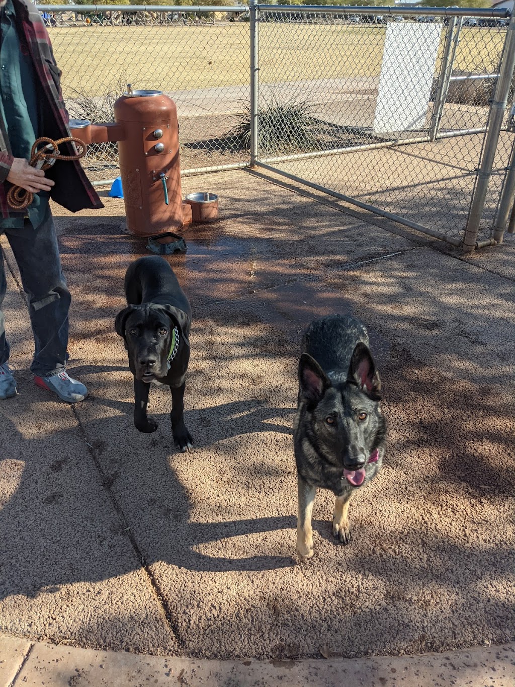 Scotland Yard Dog Park | 9251 W Scotland Ave, Peoria, AZ 85345, USA | Phone: (623) 773-7137