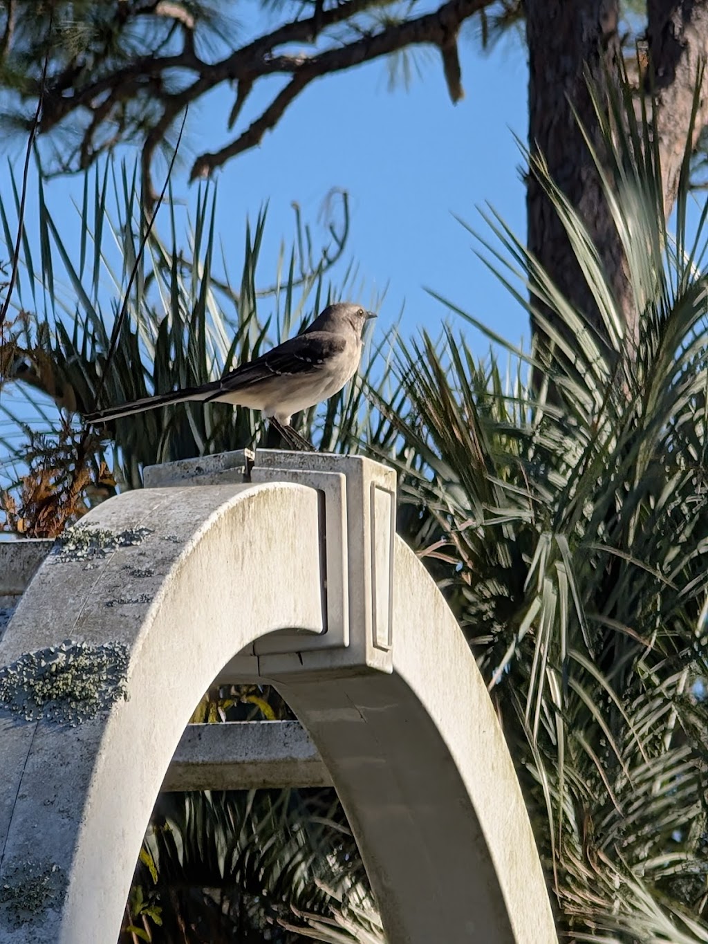 Lakeside Lutheran Church | 2401 S Tamiami Trl, Venice, FL 34293, USA | Phone: (941) 493-5102